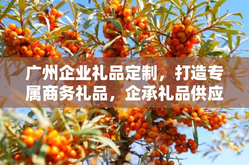 广州企业礼品定制，打造专属商务礼品，企承礼品供应链为您助力