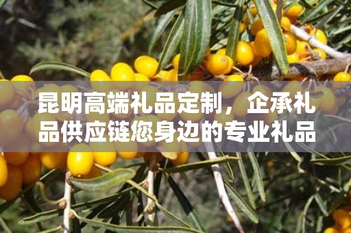 昆明高端礼品定制，企承礼品供应链您身边的专业礼品定制公司